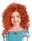 The Costume Center Red Brave Merida Unisex Child Halloween Wig Costume Accessory - One Size
